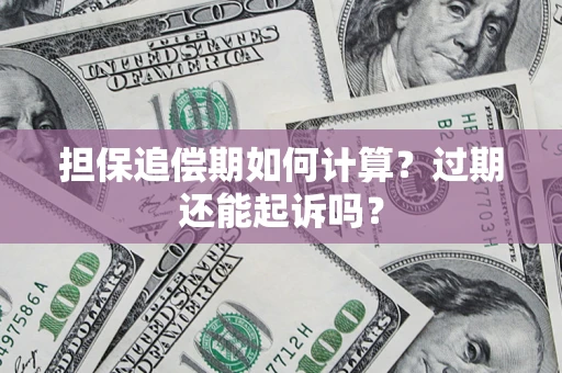 武汉担保追偿期如何计算？过期还能起诉吗？